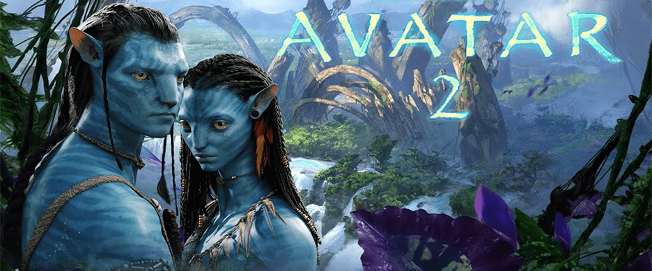 Video Avatar 2